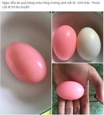 Tất cả những gì bạn muốn biết về quả trứng