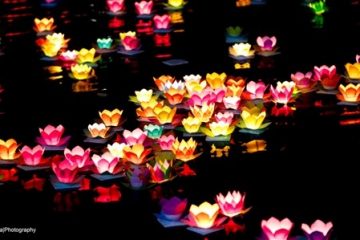Đêm hoa đăng bến phà Quán Hàu