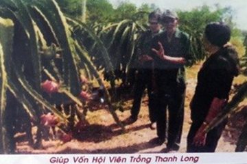 Cựu TNXP Bình Thuận làm giàu và giúp nhau xóa đói giảm nghèo