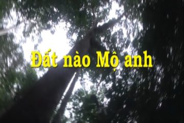 Đất nào mộ anh