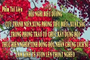 Hội nghị biểu dương TNXP tiêu biểu, xuất sắc xây dựng tổ chức hội, thực hiện nghĩa tình đồng đội, nhân chứng lịch sử, làm kinh tế vươn lên thoát nghèo