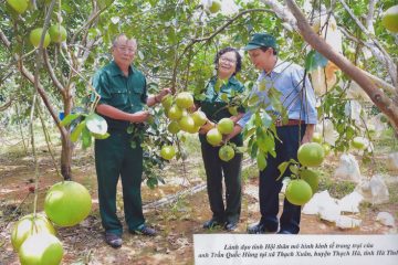 Hội Cựu TNXP tỉnh Hà Tĩnh là đơn vị xuất sắc trong phong  trào thi đua “Cựu thanh niên xung phong nêu gương sáng làm theo  lời Bác”  