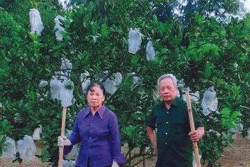 Cựu thanh niên xung phong thành phố Uông Bí hăng hái tham gia xây dựng nông thôn mới