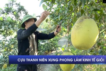 Cựu thanh niên xung phong làm kinh tế giỏi