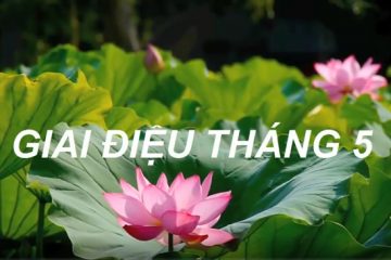 Giai điệu Tháng 5