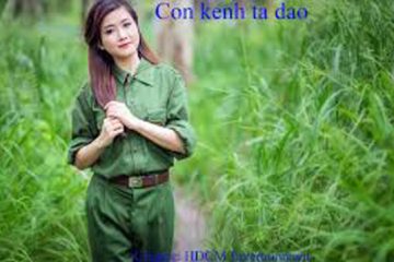 Nếu…