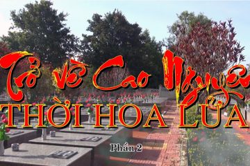 Trở về cao nguyên thời hoa lửa (phần 2)