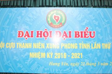 Đại hội đại biểu Hội Cựu TNXP tỉnh Hưng Yên nhiệm kỳ 2016-2021