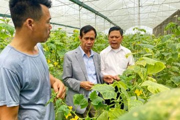 Cựu TNXP thành phố Hà Nội làm kinh tế giỏi, vì nghĩa tình đồng đội
