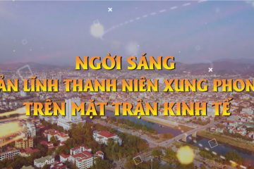 Ngời sáng bản lĩnh TNXP trên mặt trận kinh tế