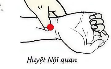 Bấm huyệt trị bệnh thiếu máu não, mất ngủ, suy giảm trí nhớ