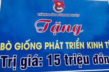 Buôn Ma Thuột bàn giao bò giống sinh sản cho nữ cựu TNXP có hoàn cảnh kinh tế khó khăn