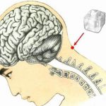 “Điểm huyệt” chỉ với một viên nước đá giúp đẩy lùi lão hóa và chữa nhiều bệnh