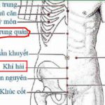 HỌC CÁCH TỰ KHÁM – TỰ KHAI THÔNG CƠ THỂ TẠI NHÀ