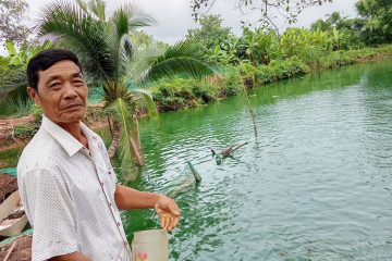 Gương sáng cựu thanh niên xung phong làm giàu từ mô hình VAC