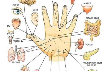 Bàn tay – “Bản đồ thu nhỏ” của Ngũ Tạng: Bí quyết dưỡng sinh theo Y học cổ truyền