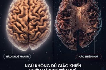 THỨC KHUYA: KẺ HỦY HOẠI NÃO BỘ THẦM LẶNG