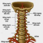 CỔ KHỎE – NÃO SÁNG – TINH THẦN MINH MẪN