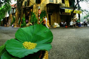 THÁNG MƯỜI XANH CỐM MÙA THU