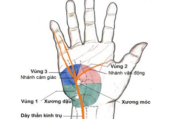 TÊ BÌ, TEO CƠ BÀN TAY: DẤU HIỆU ÂM THẦM CẢNH BÁO SUY KIỆT KHÍ HUYẾT