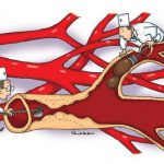 LÀM SẠCH MÁU VÀ HỆ THỐNG MẠCH MÁU: HÀNH TRÌNH DƯỠNG SINH CỐT LÕI VÀ BỀN VỮNG