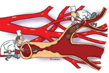 LÀM SẠCH MÁU VÀ HỆ THỐNG MẠCH MÁU: HÀNH TRÌNH DƯỠNG SINH CỐT LÕI VÀ BỀN VỮNG