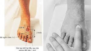 BÍ ẨN SỨC KHỎE: KHÁM PHÁ TIỀM NĂNG TRỊ LIỆU TỪ NGÓN CHÂN CÁI