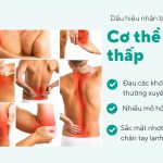 HÀN THẤP LÀ GÌ? “THỦ PHẠM” KHIẾN XƯƠNG KHỚP ĐAU NHỨC MỖI KHI TRỜI LẠNH