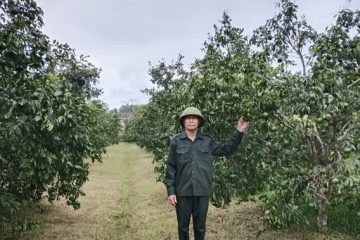 NGƯỜI CỰU TNXP LÀM KINH TẾ GIỎIVÌ NGHĨA TÌNH ĐỒNG ĐỘI