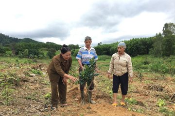 Tình đồng đội vẹn nguyên của những nữ cựu thanh niên xung phong Đắk Lắk
