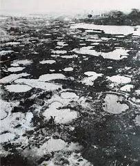 GỘI ĐẦU DƯỚI HỐ BOM