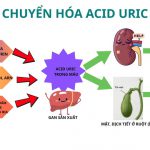 Gout không còn là “án chung thân”: Hướng tiếp cận mới từ dinh dưỡng và vi chất giúp kiểm soát bệnh hiệu quả