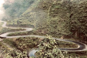 LỚN LÊN CÙNG CON ĐƯỜNG