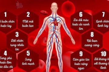 LƯU THÔNG MÁU: “DÒNG SÔNG” QUYẾT ĐỊNH SỰ SỐNG