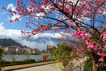 GẶP GỠ MÙA XUÂN