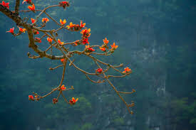 ĐIỆP KHÚC THÁNG BA