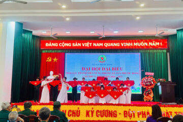 Hội Cựu TNXP tỉnh Gia Lai: 28/65 xã, phường hoàn thành Đại hội Khóa I nhiệm kỳ 2026–2031