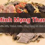 Tham luận Minh Mạng thang (kỳ 1/3)