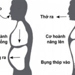 Phương pháp hít thở sâu kéo dài tuổi thọ theo Thầy Đỗ Đức Ngọc