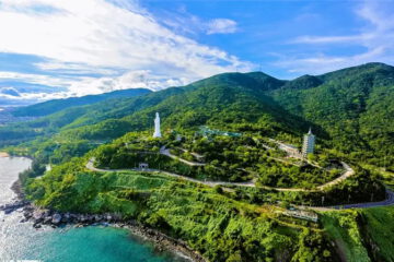 MỘT THOÁNG SƠN TRÀ