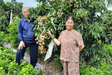 Cựu TNXP Nguyễn Thị Nga: Tấm gương sáng làm kinh tế giỏi