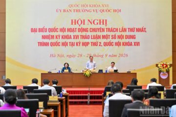 Đánh giá kỹ lưỡng về mức phạt tiền tối đa trong xử phạt vi phạm hành chính