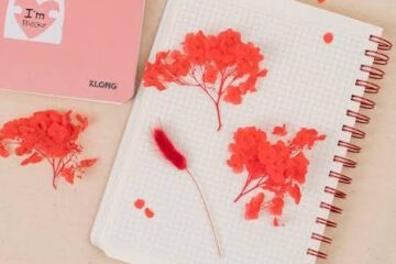 Hoa kẹp trong cuốn sổ