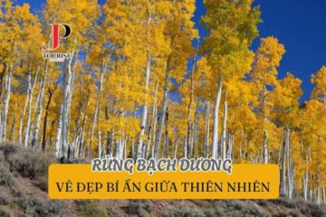 NHỚ MIỀN BẠCH DƯƠNG NGÀY ẤY