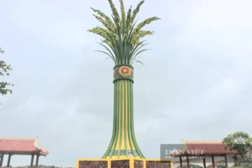 Tôi lại về bến phà Long Đại