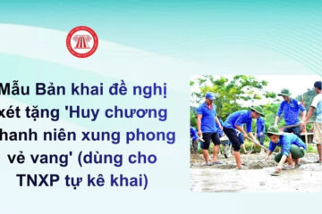 Hồ sơ đề nghị xét tặng Huy chương TNXP vẻ vang: Bản khai và giấy tờ chứng minh thời gian tham gia TNXP